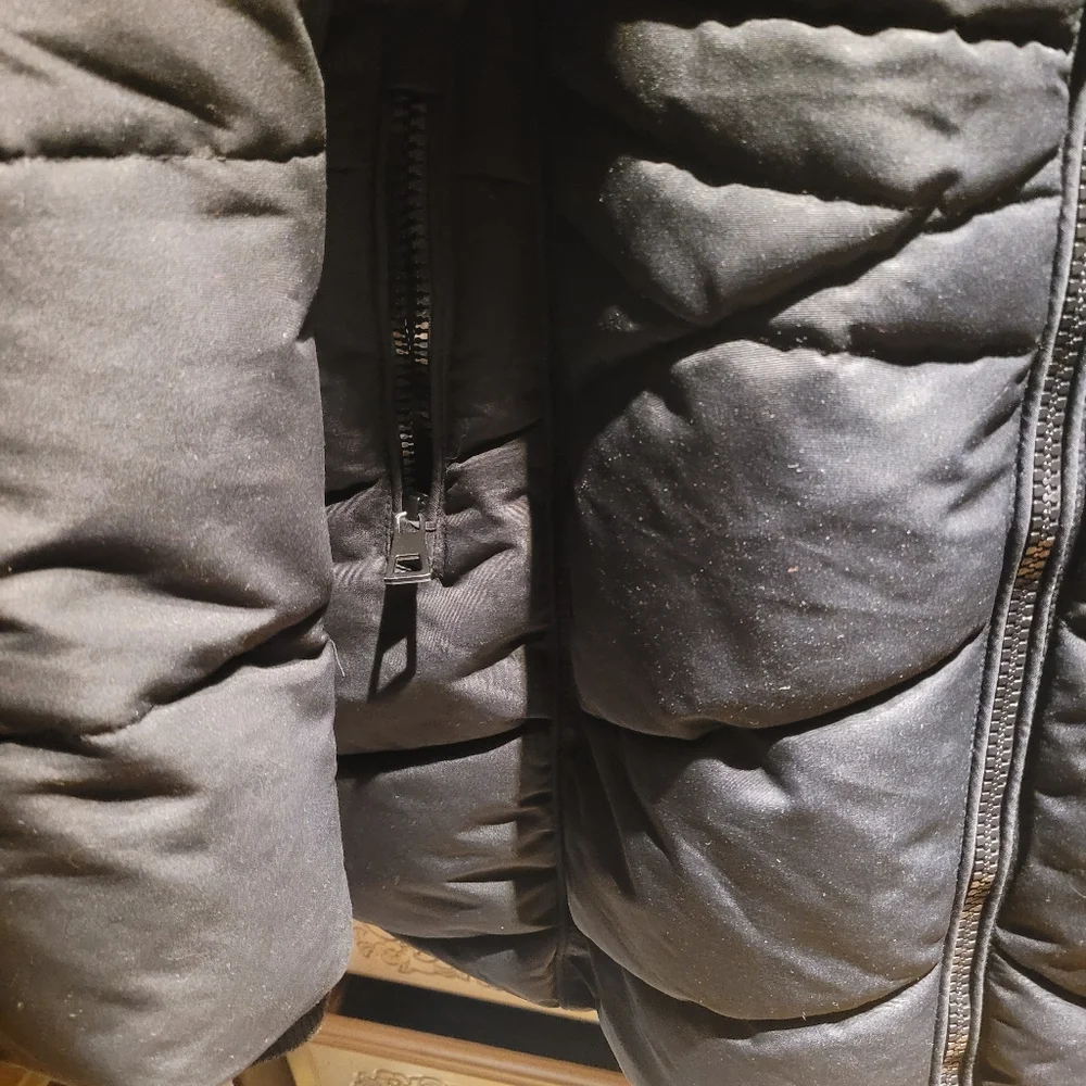 Jacket - Picture 8 of 16